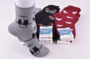 Шкарпетки жіночі "Житомир" МАХРА бавовна (Арт. AK321) | 12 пар