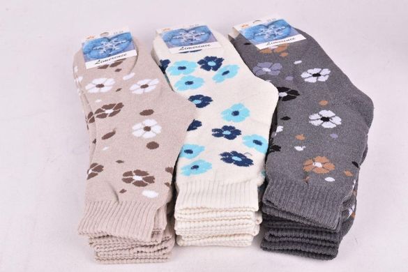 Носки женские с рисунком "Житомир" МАХРА COTTON (Арт. AK1032) | 12 пар