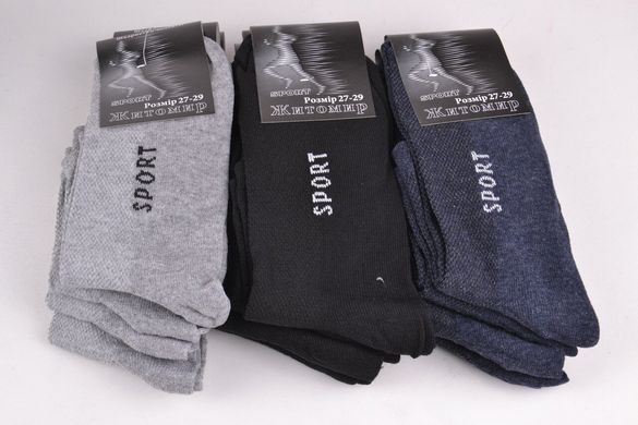 Шкарпетки чоловічі "Житомир" Sport (OK092/27-29) | 12 пар