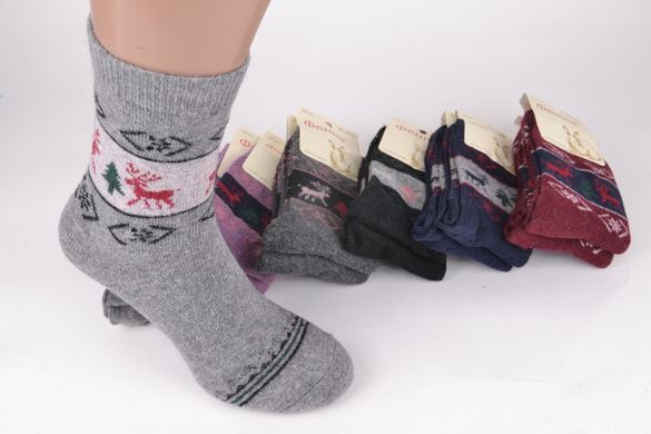 Шкарпетки жіночі "Фенна" Шерсть Ангора (Арт. FEB2202-1) | 12 пар
