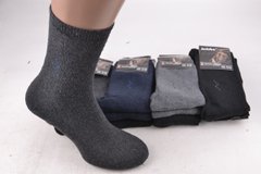 Шкарпетки чоловічі МАХРА бавовна (Арт. F123-7) | 12 пар