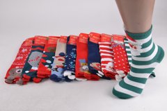 Жіночі шкарпетки "Фенна" ХЛОПОК (Арт. FEB0110) | 10 пар