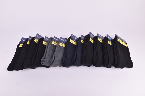 Шкарпетки чоловічі "Житомир" МАХРА COTTON (арт. PTM0020/12) | 12 пар