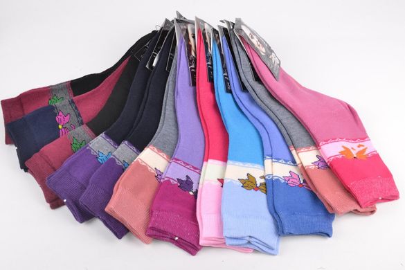 Жіночі Термо шкарпетки "НАТАЛІ" (Арт. TKB828) | 12 пар