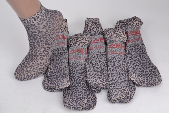 Шкарпетки капронові лайкра з візерунком (YL238/15) | 10 пар