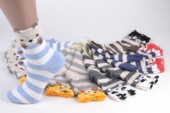 Жіночі шкарпетки "Звірятка" ХЛОПОК (Арт. TK6182) | 12 пар