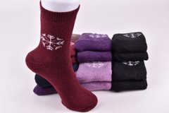 Шкарпетки жіночі "Алія" Верблюжа Вовна (Арт. ALB411-1) | 12 пар
