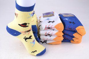 Носки женские "Житомир" Махра (Арт. OK206) | 12 пар