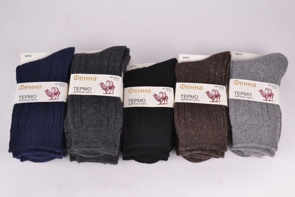 Шкарпетки чоловічі "Fenna" Вовна (FE8003-3) | 12 пар