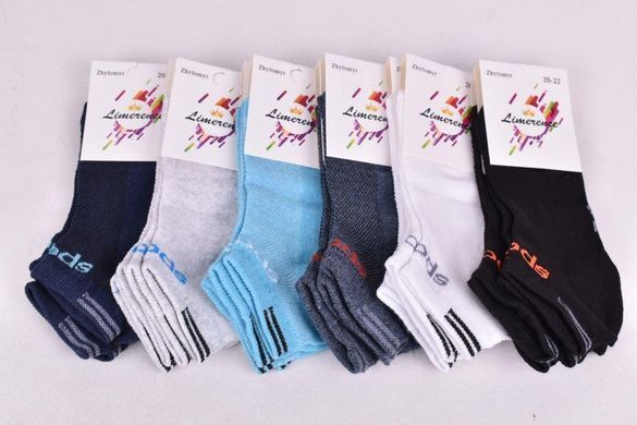 Шкарпетки дитячі "ЖИТОМИР" бавовна (Арт. AK2106/14-16) | 12 пар