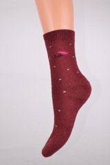 Жіночі Термо-шкарпетки "МАХРА" (Арт. HB28) | 12 пар