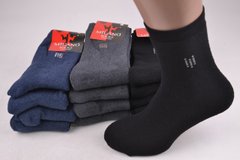Чоловічі шкарпетки "Milano" МАХРА COTTON (Y031/21) | 12 пар