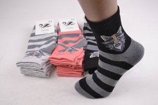Жіночі шкарпетки "ЖИТОМИР" COTTON (AK814) | 12 пар