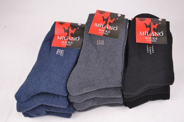 Мужские носки "Milano" МАХРА COTTON (Y031/21) | 12 пар