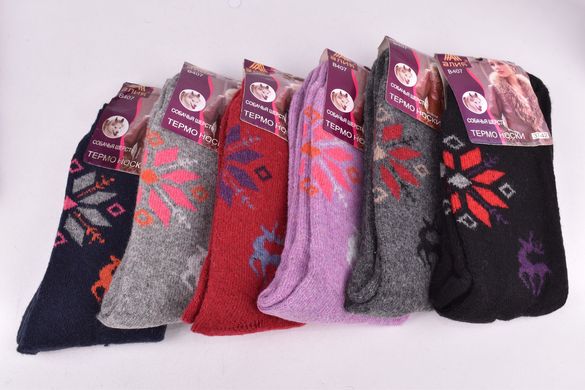 Шкарпетки жіночі "Алія" Верблюжа Вовна (Арт. ALB407) | 12 пар
