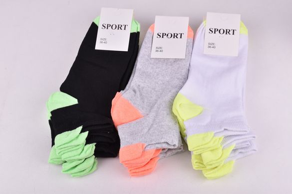 Шкарпетки жіночі "SPORT" COTTON (Арт. OAM086) | 12 пар