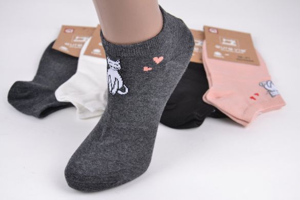 Женские носки заниженные "AURA" Cotton (Арт. ND5986/35-38) | 5 пар