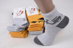 Шкарпетки дитячі на хлопчика "ЖИТОМИР" ХЛОПОК (Арт. AK509/18-20) | 12 пар