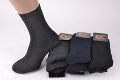 Чоловічі шкарпетки "Житомир" МАХРА (арт. PTM0020/19) | 12 пар