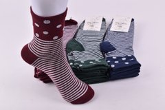 Шкарпетки жіночі "Житомир" бавовна (Арт. OAM430) | 12 пар