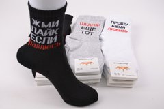 Шкарпетки жіночі "ЖИТОМИР" COTTON (Арт. AK897) | 12 пар