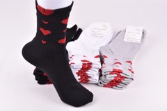 Шкарпетки жіночі "Житомир" бавовна (Арт. OAM084) | 12 пар