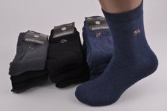 Чоловічі шкарпетки Махра COTTON (Y031/11) | 12 пар