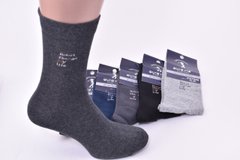 Шкарпетки чоловічі "AURA" COTTON (Арт. FX7539/39-42) | 5 пар