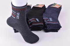 Шкарпетки підліткові "Житомир" МАХРА ХЛОПОК (Арт. OAM327/36-39) | 12 пар