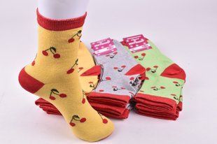 Шкарпетки жіночі "Житомир" бавовна (Арт. OK212) | 12 пар