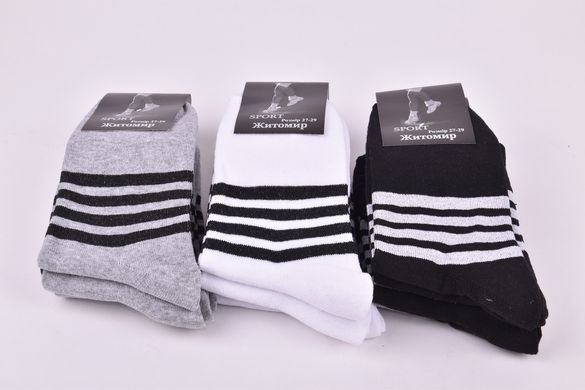 Шкарпетки чоловічі "Житомир" ХЛОПОК (Арт. OK227/25-27) | 12 пар