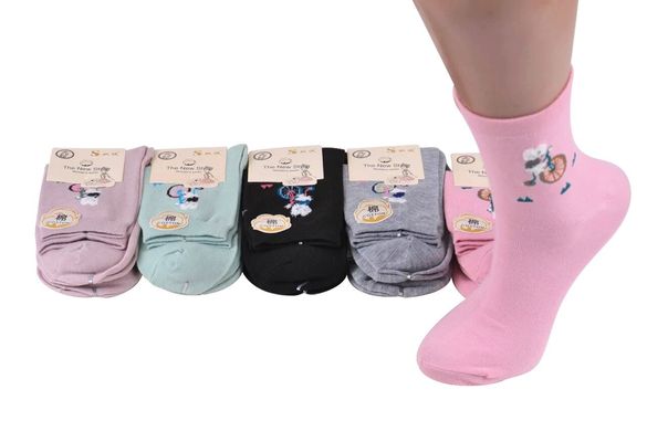 Шкарпетки жіночі "Фенна" ХЛОПОК (Арт. FEB533-2) | 10 пар