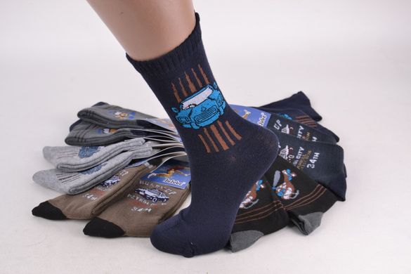 Шкарпетки дитячі на хлопчика (Y019/31-35) | 12 пар