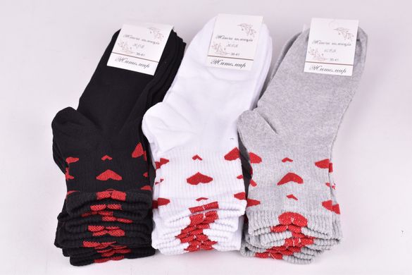 Шкарпетки жіночі "Житомир" бавовна (Арт. OAM084) | 12 пар