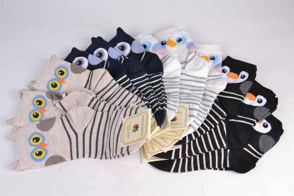 Жіночі шкарпетки Бавовна "Звірятка" (Арт. TK6180) | 12 пар