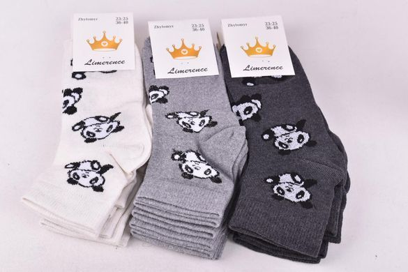 Женские носки "ЖИТОМИР" COTTON (AK2034) | 12 пар