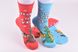 Шкарпетки жіночі в подарунковій упаковці МАХРА бавовни (Арт. Y113/1) | 2 пари