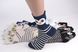 Жіночі шкарпетки Бавовна "Звірятка" (Арт. TK6180) | 12 пар