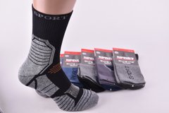 Шкарпетки чоловічі "AURA" SPORT Cotton (Арт. FS7201/43-46) | 5 пар