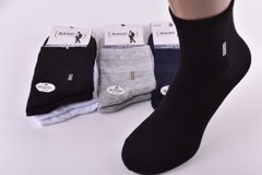 Шкарпетки чоловічі "Алія" бавовна (Арт. ALA060) | 10 пар