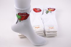 Шкарпетки жіночі "ЖИТОМИР" COTTON (Арт. AK903) | 12 пар