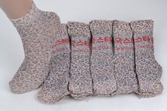 Шкарпетки капронові лайкра з візерунком (YL238/20) | 10 пар
