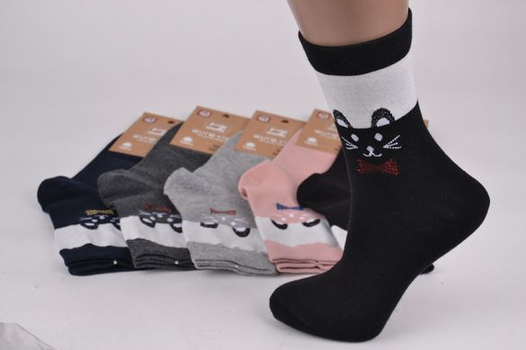 Шкарпетки жіночі "AURA" Cotton (Арт. NP5873/38-41) | 5 пар