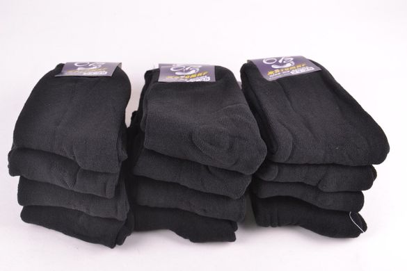 Мужские махровые носки "ЖИТОМИР" (Арт. OK057/27-29) | 12 пар