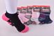 Шкарпетки жіночі "AURA" Sport COTTON (Арт. NDS6315/35-38) | 5 пар