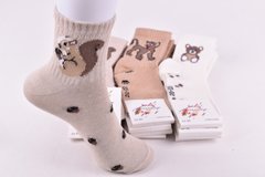 Шкарпетки дитячі "Житомир" COTTON (Арт. AK561/22-24) | 12 пар