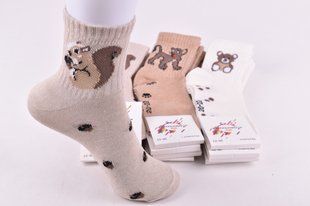 Носки детские на девочку "Житомир" COTTON (Арт. AK561/22-24) | 12 пар