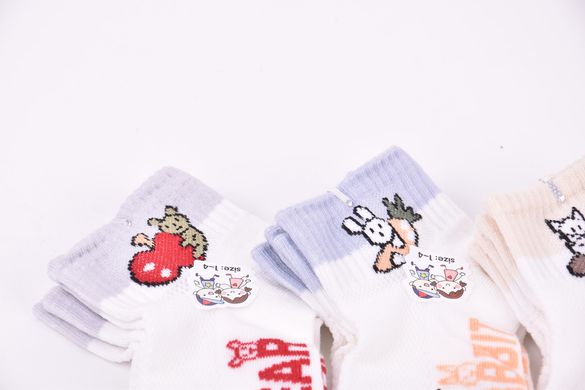 Шкарпетки дитячі "Малюк" ХЛОПОК (Арт. LC06-1/1-4) | 10 пар