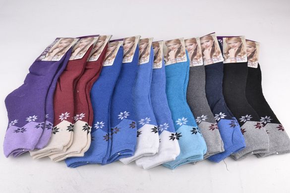 Жіночі шкарпетки МАХРА бавовна (Aрт. PT2844) | 12 пар