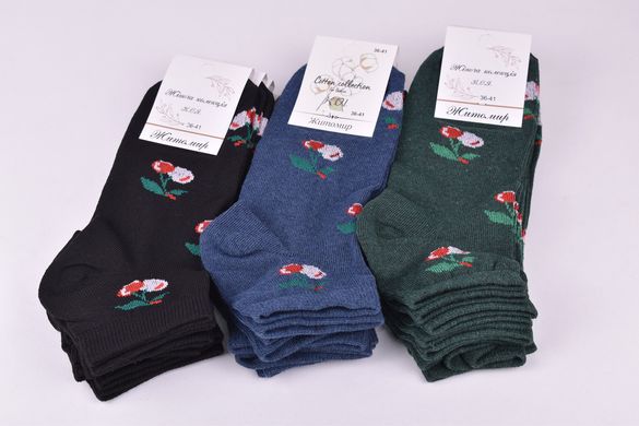 Шкарпетки жіночі "Житомир" бавовна (Арт. OAM253) | 12 пар